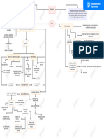 Mapa Conceptual Musculos