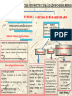 Sistemas Internacionales de Proteccion de Los Derechos Humanos
