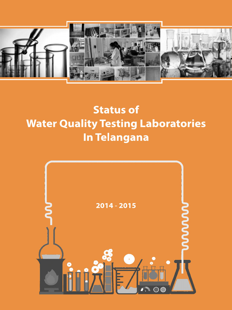 Lab assessment report pdf
