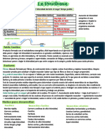 Educación Física