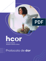 Protocolo de Dor Web