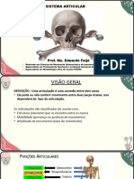 Sistema Articular