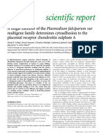 2005 A Single Member of The Plasmodium Falciparum Var Multigene Family Determines Cytoadhesion To The Placental Receptor Chondroitin Sulphate A