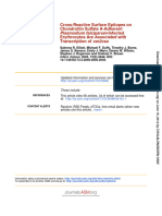 Plasmodium Falciparum: Chondroitin Sulfate A-Adherent Cross-Reactive Surface Epitopes On