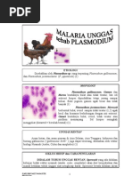 Download Penyakit Protozoa by husnurijal SN70635284 doc pdf