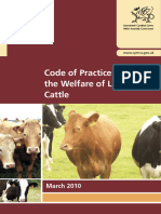 Welfare of Cattle Code of Practice