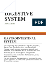 3.digestive System