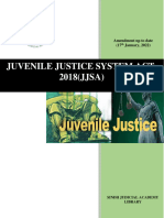 Juvenile Justice System Act