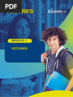 Módulo 2 - Vetores