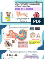 Fisiología de La Audición