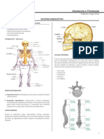 Sistema Esquelético