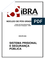 Sistema Prisional e Segurança Pública - Apostila