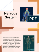 Nervous System