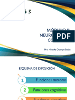 Clase 5. Funciones Neuropsicologicas