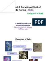 Chapter - 4 - Structural and Functional Unit of Lifeforms