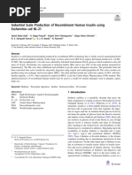 Industrial Scale Production of Recombinant Human Insulin Using Escherichia Coli BL-21