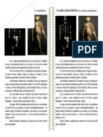 Atividade de História - Texto - Lucy - a famosa australopithecus 