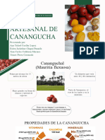 Producto Canangucha