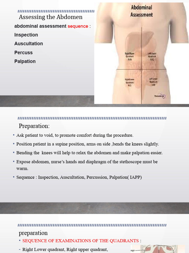 assessing-the-abdomen-1-download-free-pdf-abdomen-anatomy