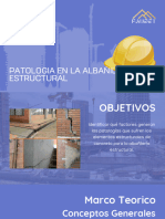 Patologia en La Albañileria Estructural