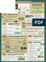 Lectura 2 - Infografía