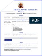 Pedro de Oliveira Silvino Fernandes FlowCV Resume 20240215