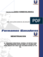 4.-Hemorragia Ginecologica