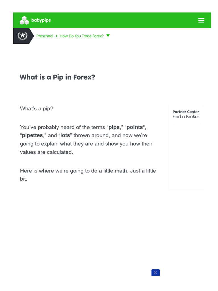 Learnforexpips and Pipettes PDF Japanese Yen Exchange Rate