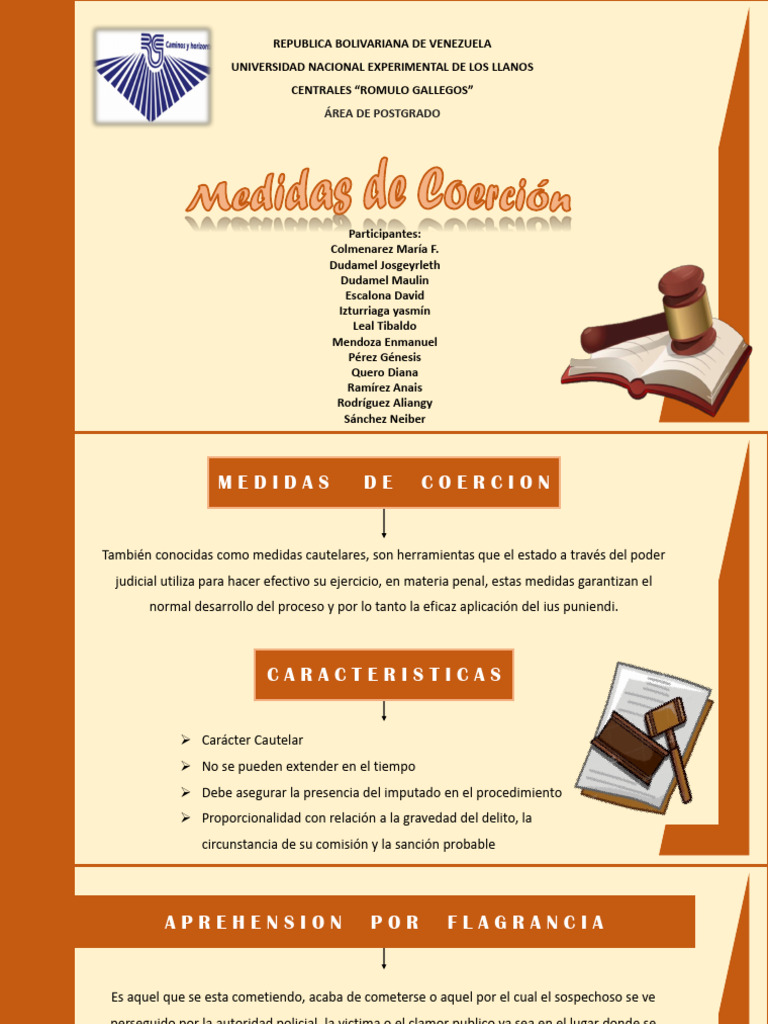 Medidas de coercion pdf mandato cr menes