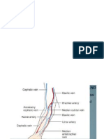 IV Sites