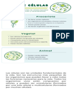 Infografía Biología Tipos de Células Ilustrativa Verde