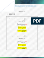 Derivada Direccional-Clase Desarrollada El 10 de Febrero