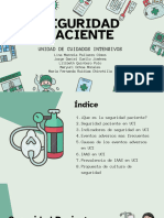 Seguridad Paciente e IAAS en Pacientes en UCI