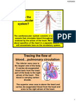 Anatomy of Blood Flow