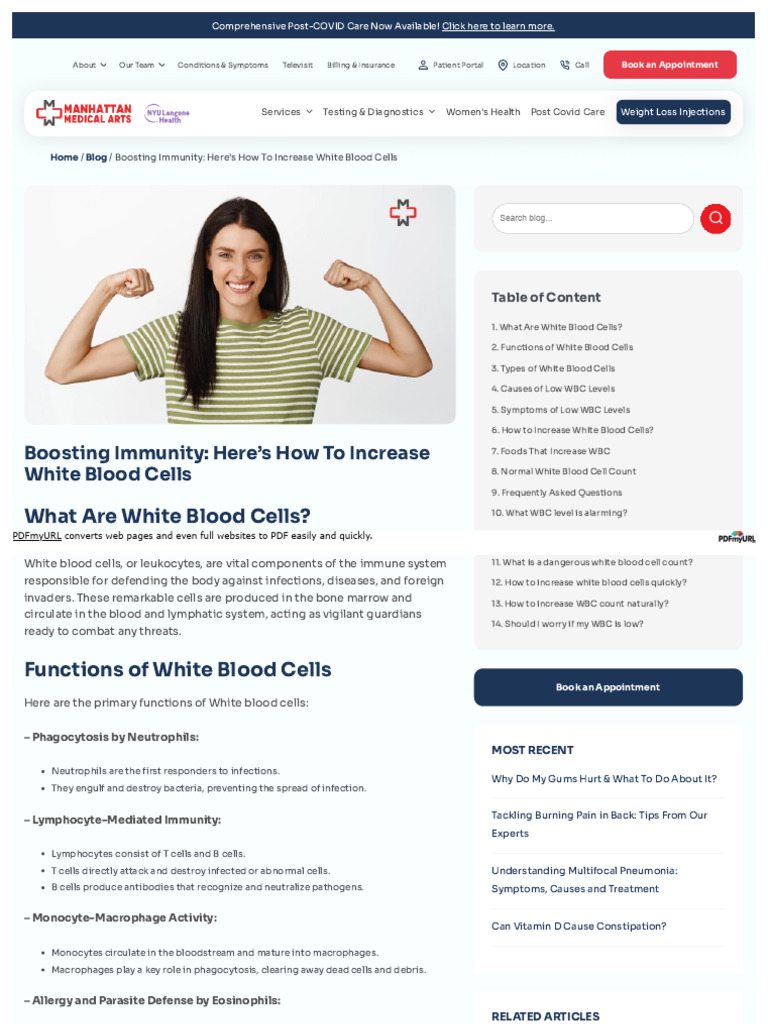 How to increase white blood cells pdf white blood cell allergy