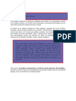 Explicación Neurofisiológica Del Aprendizaje Becerra