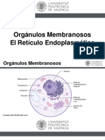 Fisiologia Semana2