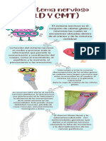 EL SISTEMA NERVIOSO (1)