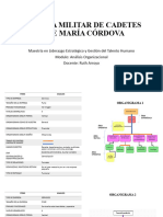 Analisis Organizaciones