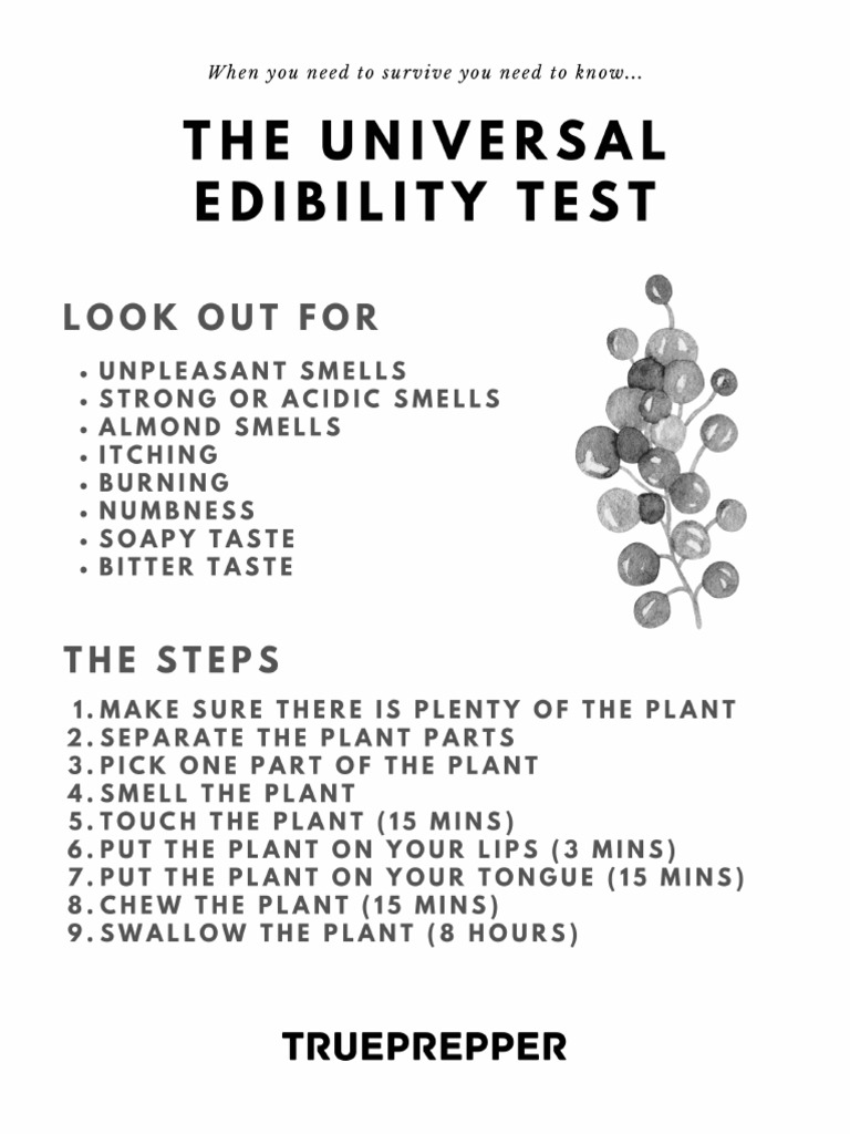 Printable pdf of the universal edibility test for survival pdf