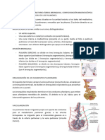 Tema 14. Aparato Respiratorio Enfermería