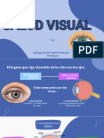 Salud Visual 