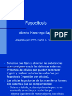  FAGOCITOSIS