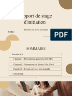Rapport de Stage Pré