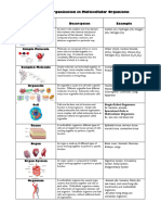 Levels of Organization Handout