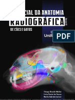 Anatomia Radiográfica UNIRADIO