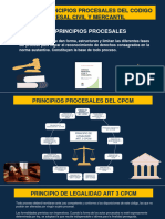 Principios Procesales