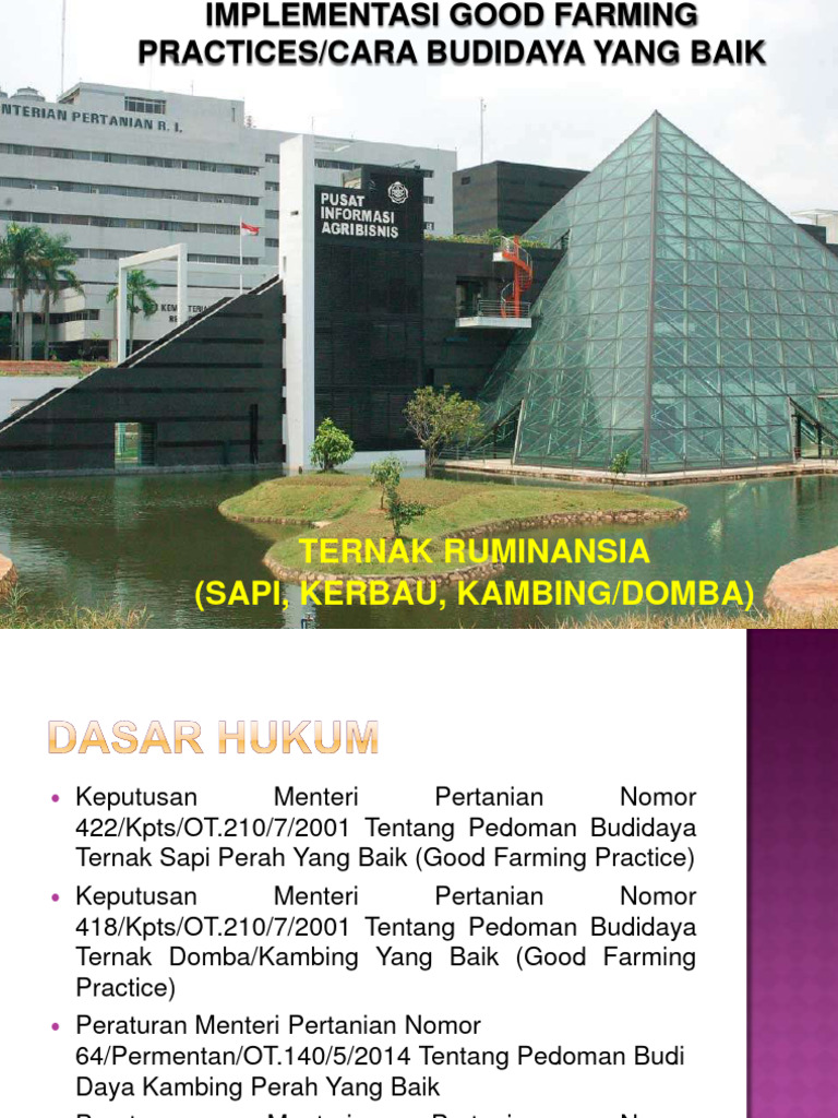 Dokumen - Tips Ternak Ruminansia Sapi Kerbau Kambingdomba | PDF ...