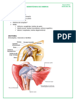 SEMIOTÉCNICA DE OMBROS