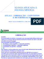 6mineral Aplic Tecmin 6 Liberacao